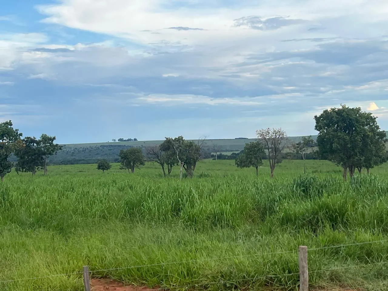 Fazenda à venda de 5.591 ha em Paraíso das Águas, MS, Brasil