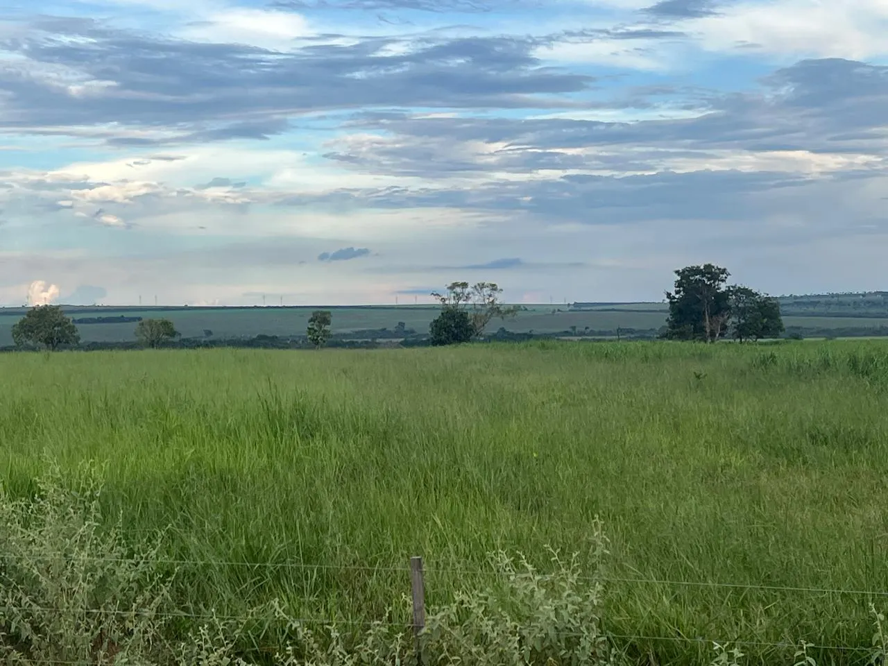 Fazenda à venda de 5.591 ha em Paraíso das Águas, MS, Brasil