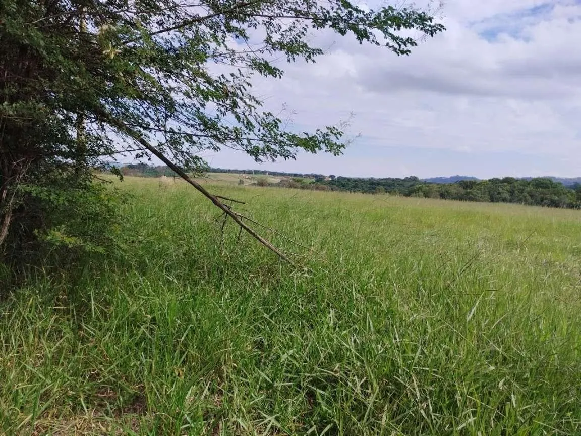 Fazenda à venda de 104 ha em Cássia dos Coqueiros, SP, Brasil