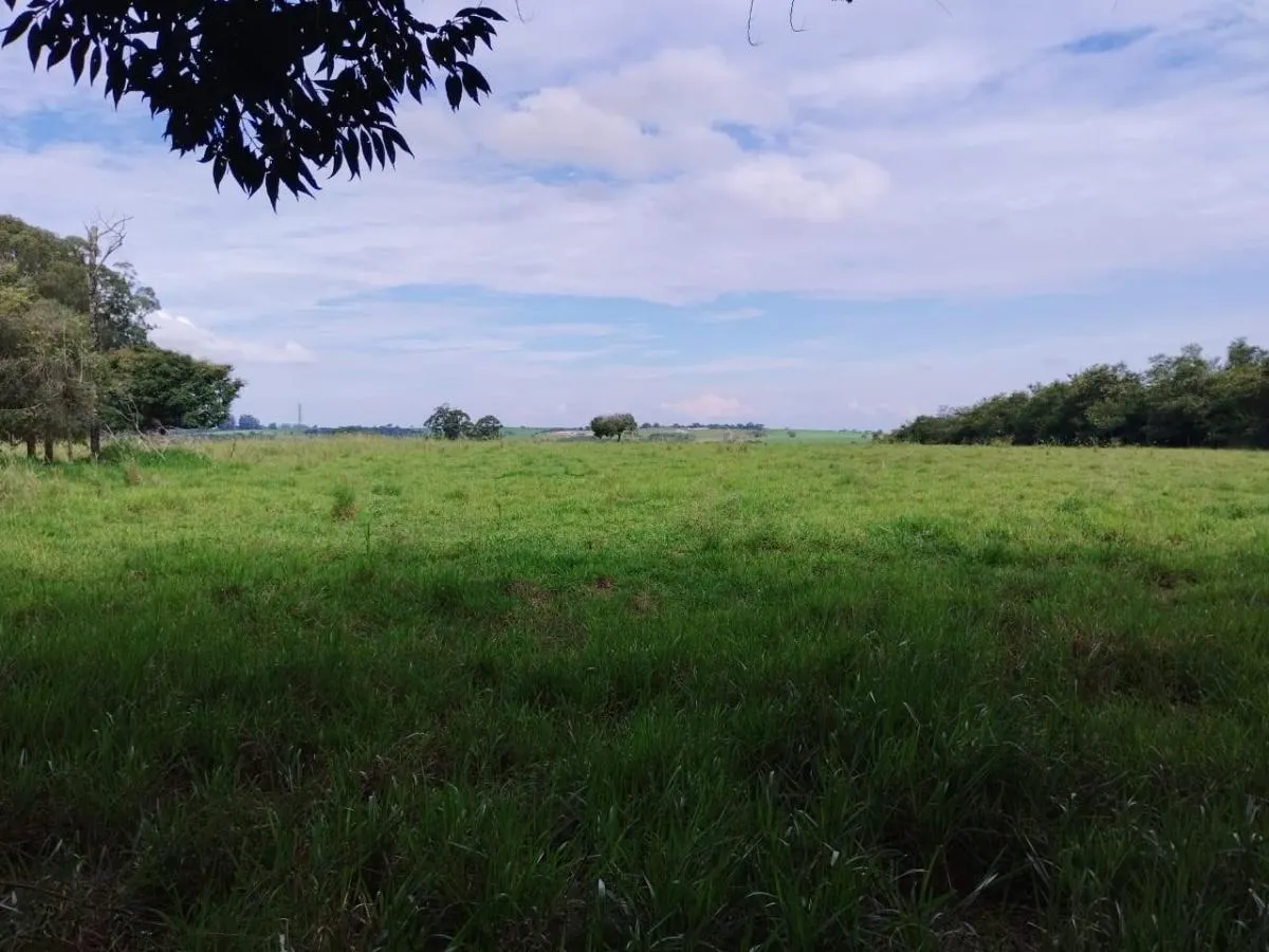 Fazenda à venda de 104 ha em Cássia dos Coqueiros, SP, Brasil