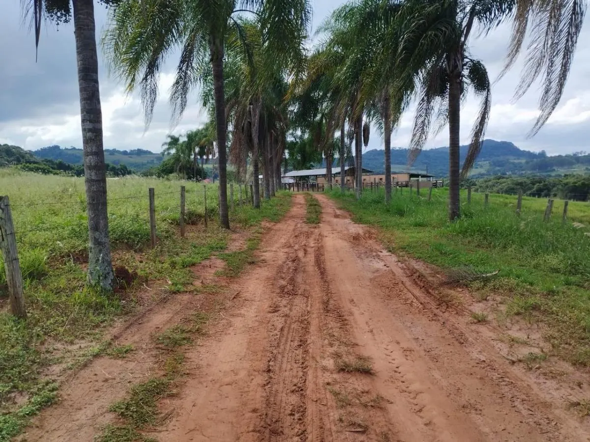 Fazenda à venda de 104 ha em Cássia dos Coqueiros, SP, Brasil