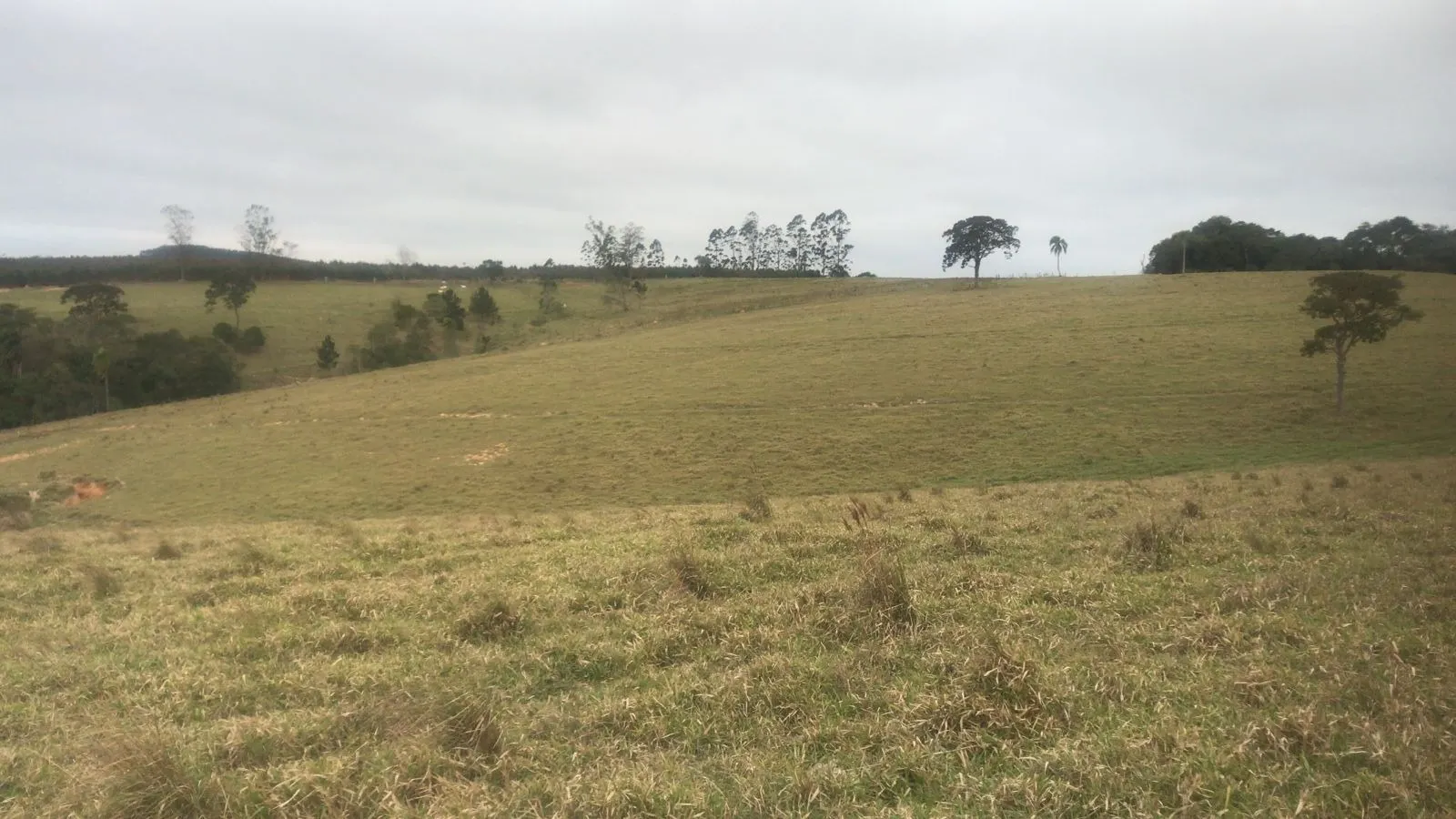 Farm for sale of 353 acres in São Miguel Arcanjo, SP, Brazil