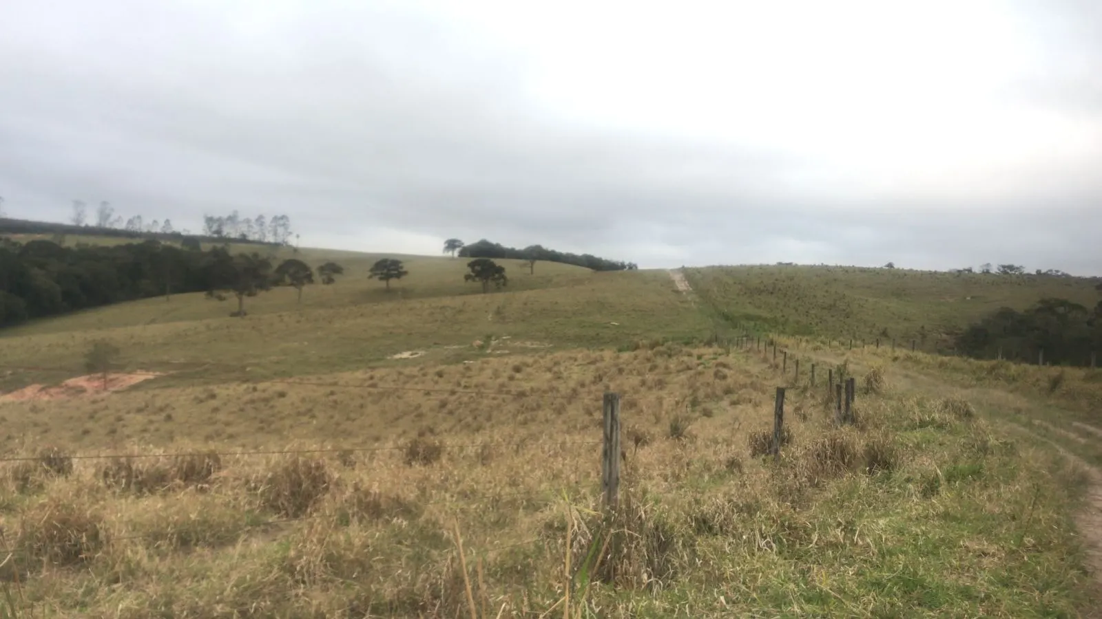 Farm for sale of 353 acres in São Miguel Arcanjo, SP, Brazil