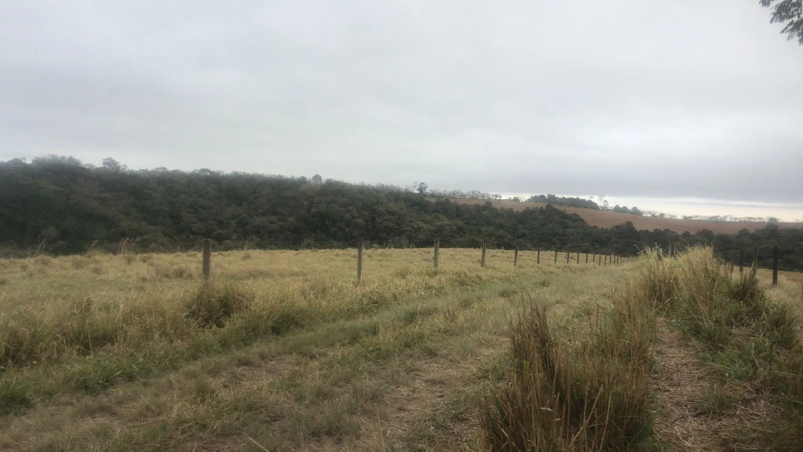 Fazenda à venda de 143 ha em São Miguel Arcanjo, SP, Brasil