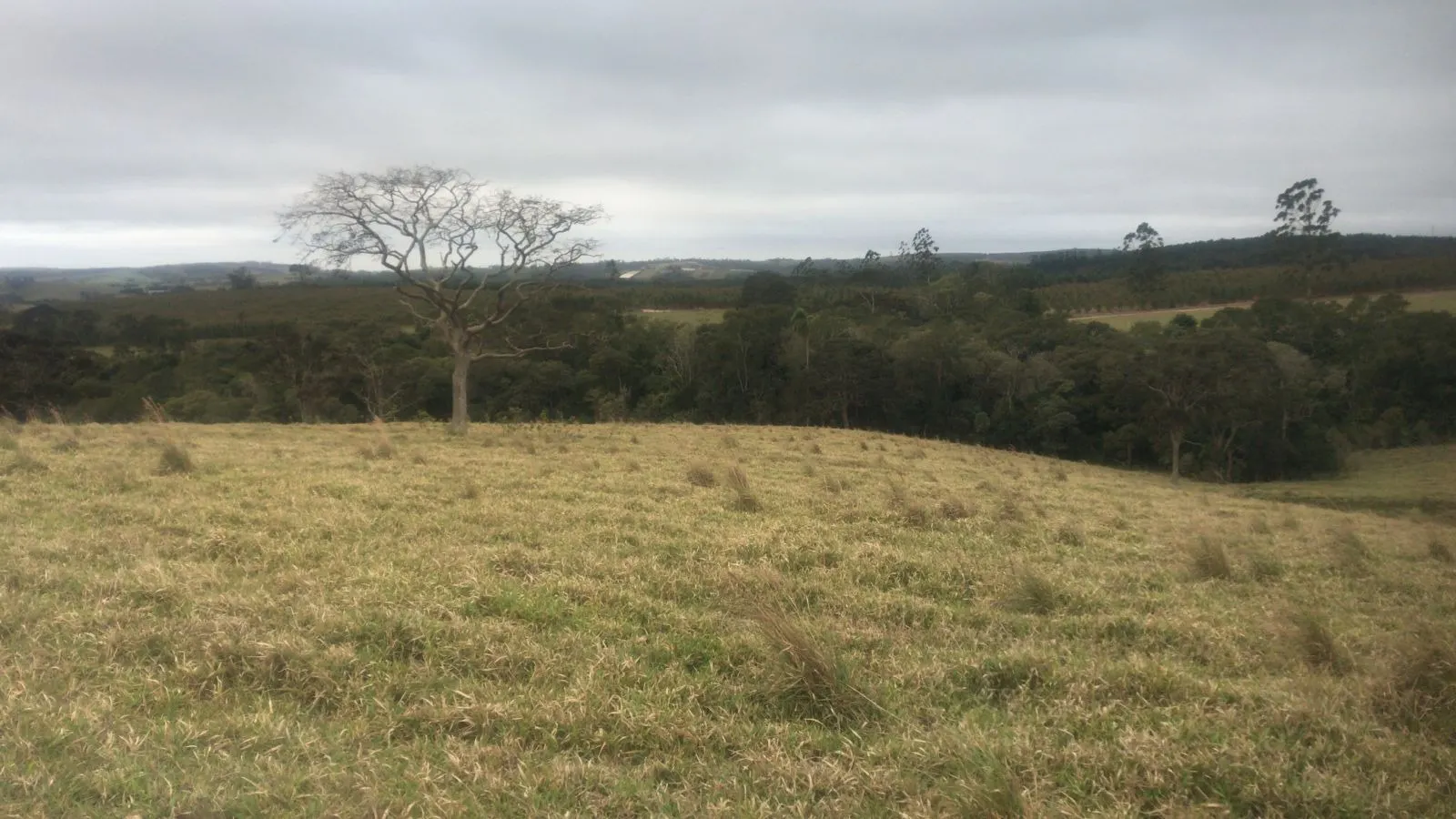 Farm for sale of 353 acres in São Miguel Arcanjo, SP, Brazil