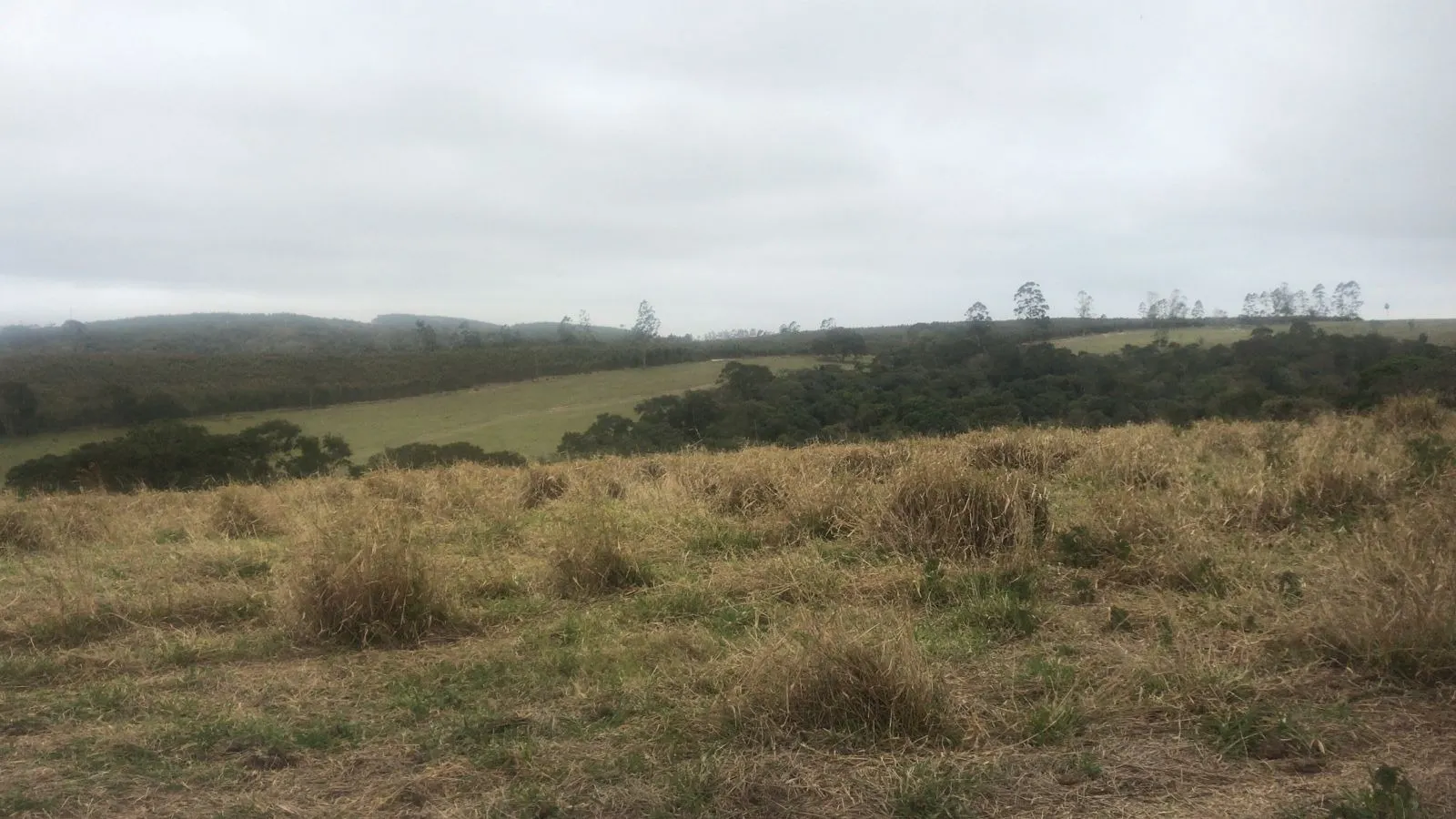 Farm for sale of 353 acres in São Miguel Arcanjo, SP, Brazil