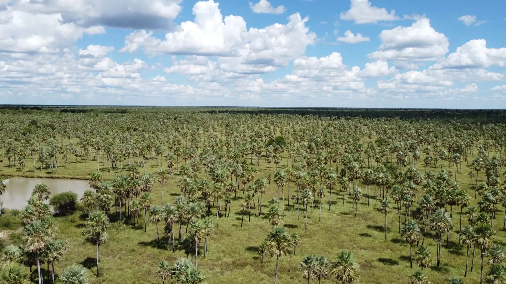 Fazenda à venda de 2.895 ha em Benjamín Aceval, Paraguai