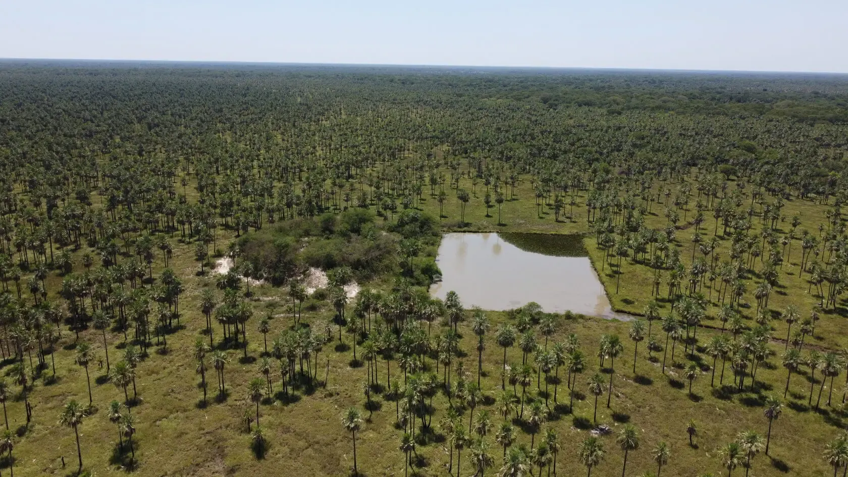 Fazenda à venda de 2.895 ha em Benjamín Aceval, Paraguai