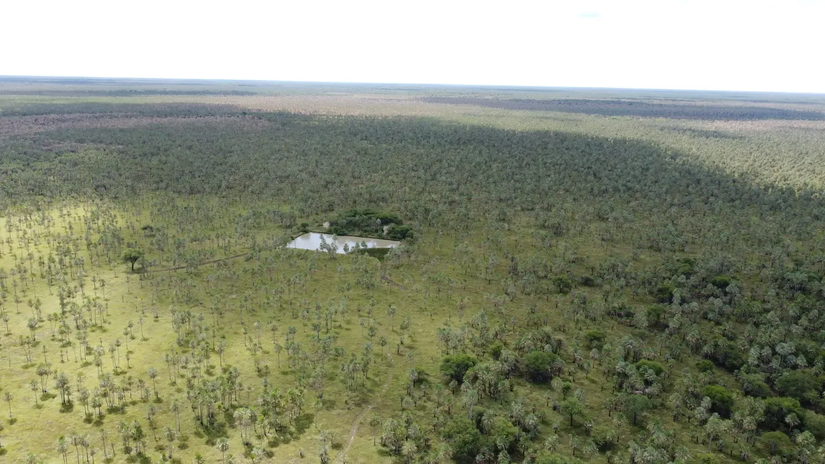 Fazenda à venda de 2.895 ha em Benjamín Aceval, Paraguai