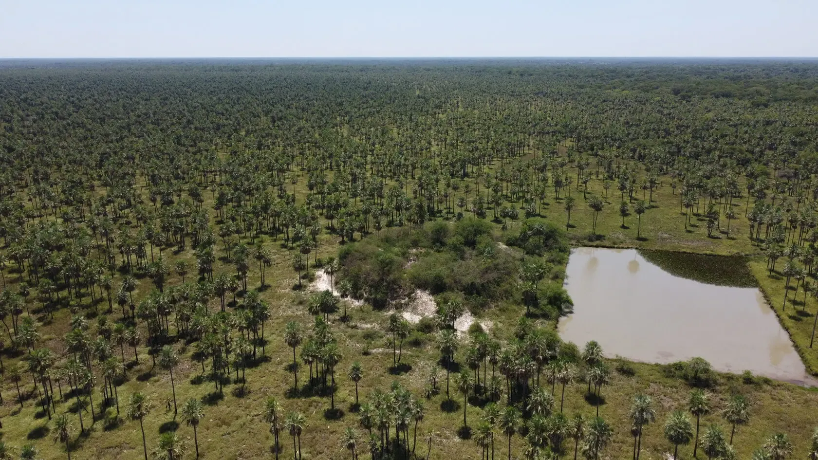 Fazenda à venda de 2.895 ha em Benjamín Aceval, Paraguai