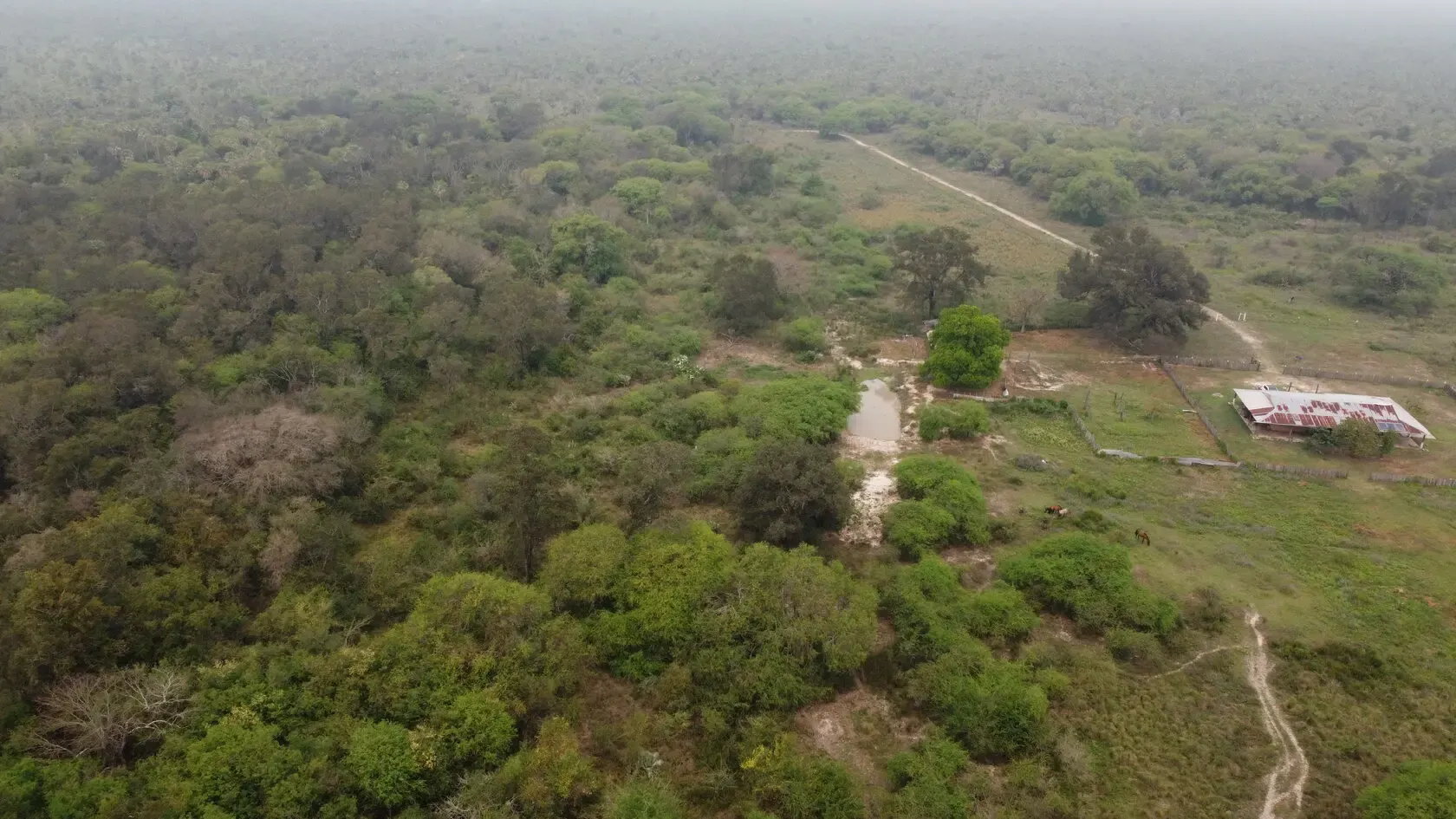 Fazenda à venda de 2.895 ha em Benjamín Aceval, Paraguai