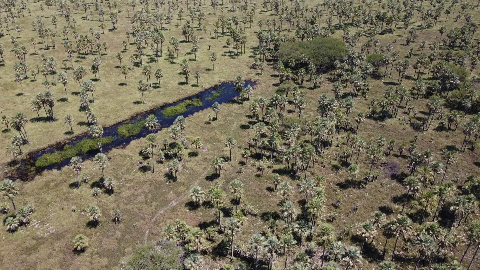 Fazenda à venda de 2.895 ha em Benjamín Aceval, Paraguai