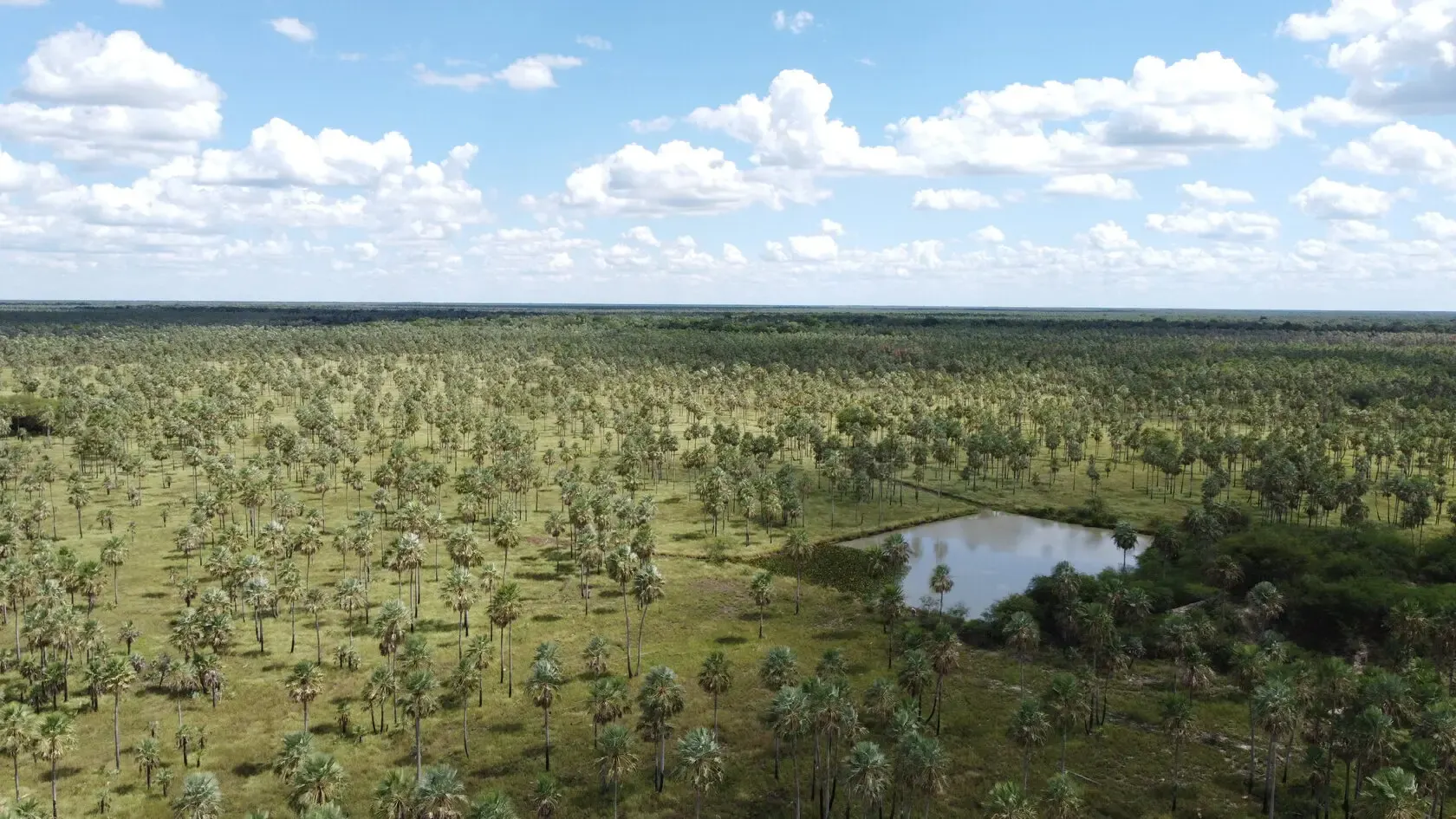Fazenda à venda de 2.895 ha em Benjamín Aceval, Paraguai