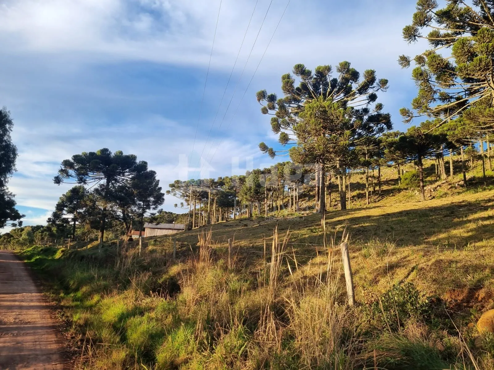 Plot for sale of 12 acres in Bom Jardim da Serra, SC, Brazil