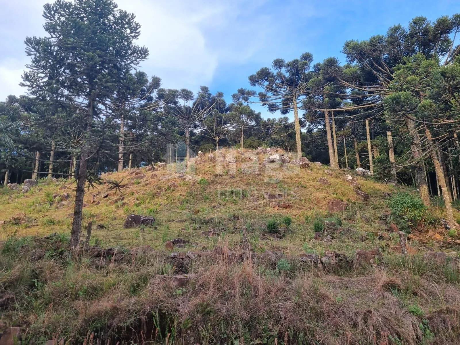 Plot for sale of 12 acres in Bom Jardim da Serra, SC, Brazil