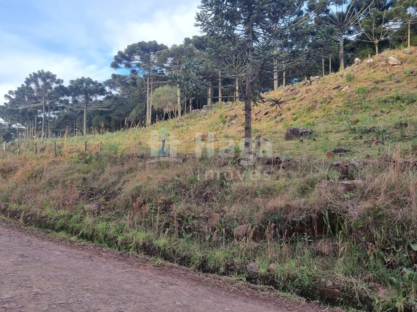 Plot for sale of 12 acres in Bom Jardim da Serra, SC, Brazil
