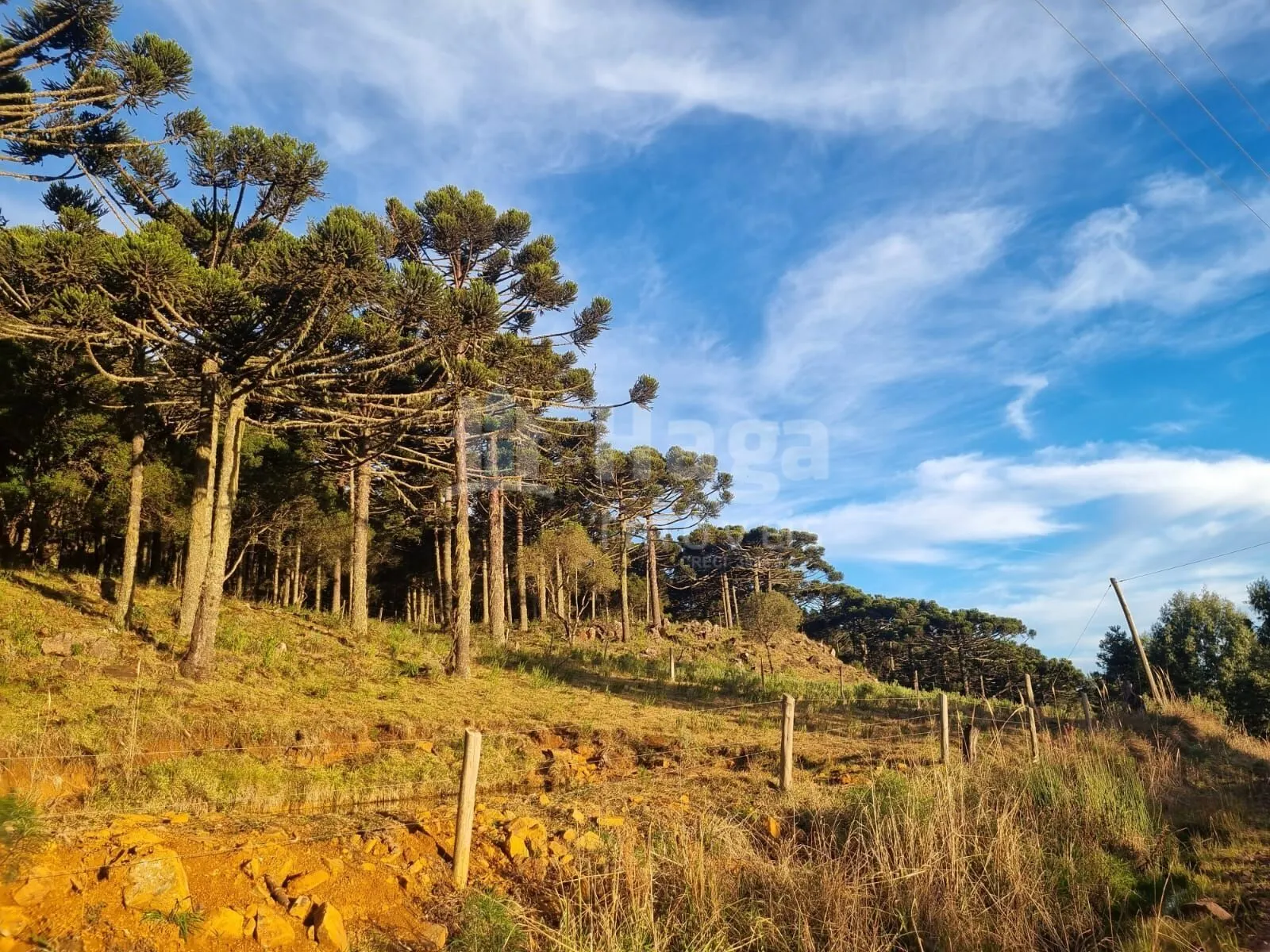 Plot for sale of 12 acres in Bom Jardim da Serra, SC, Brazil