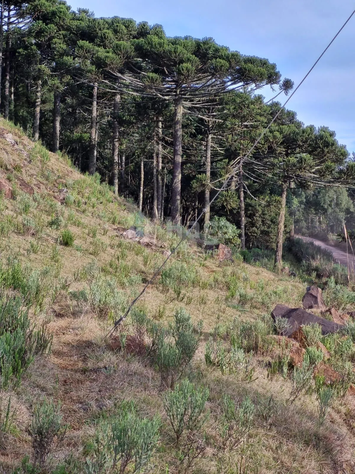 Plot for sale of 12 acres in Bom Jardim da Serra, SC, Brazil