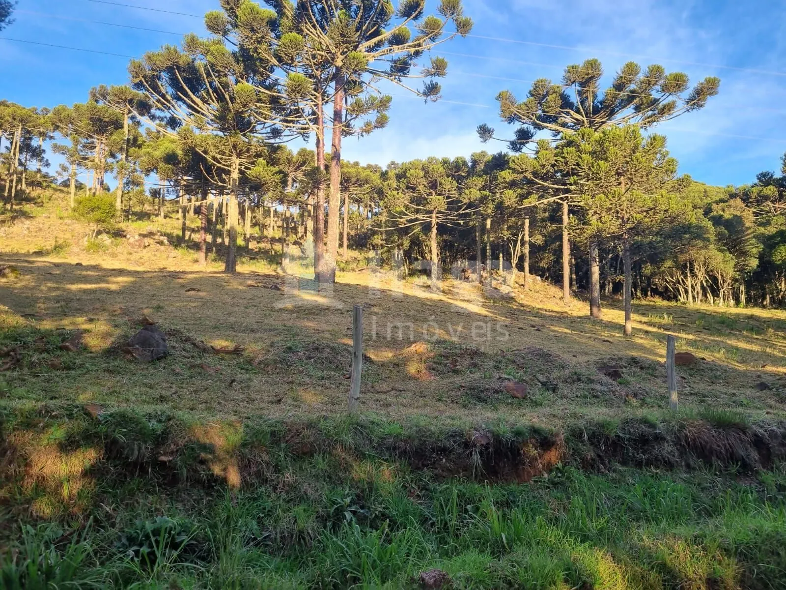 Plot for sale of 12 acres in Bom Jardim da Serra, SC, Brazil