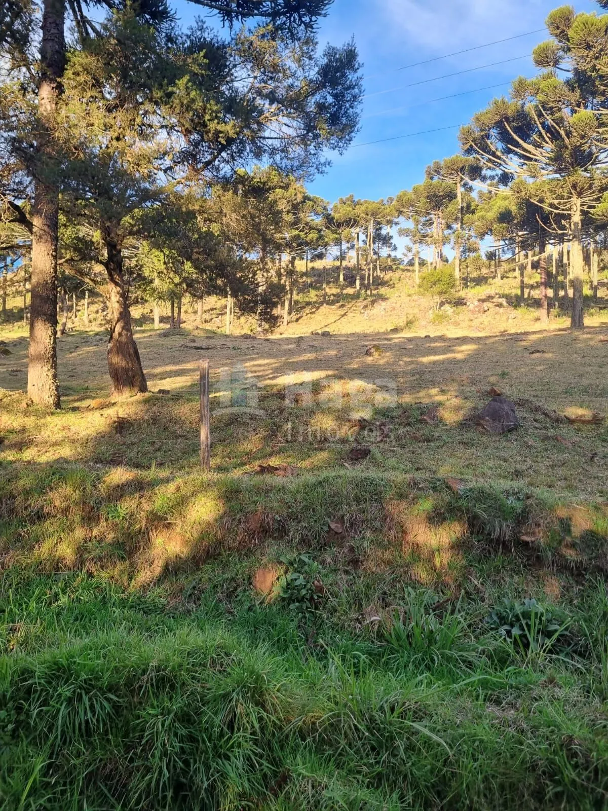 Plot for sale of 12 acres in Bom Jardim da Serra, SC, Brazil