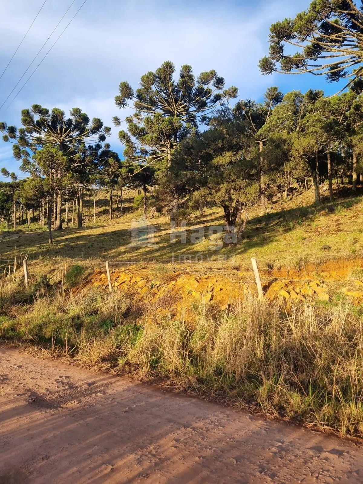Plot for sale of 12 acres in Bom Jardim da Serra, SC, Brazil