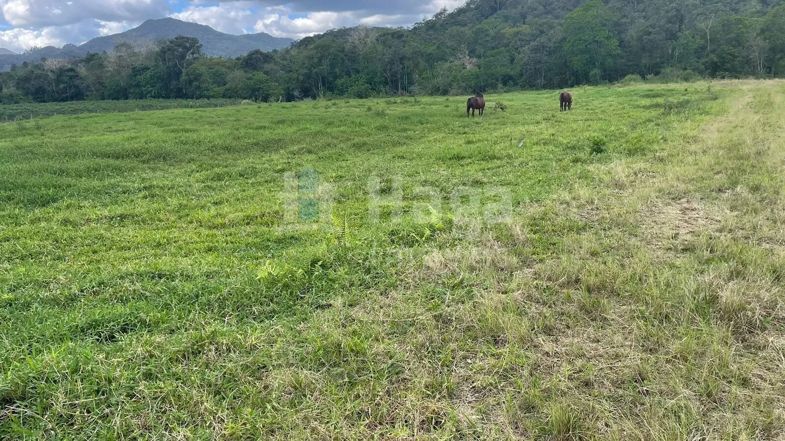 Terreno à venda de 2.200 m² em Canelinha, SC, Brasil