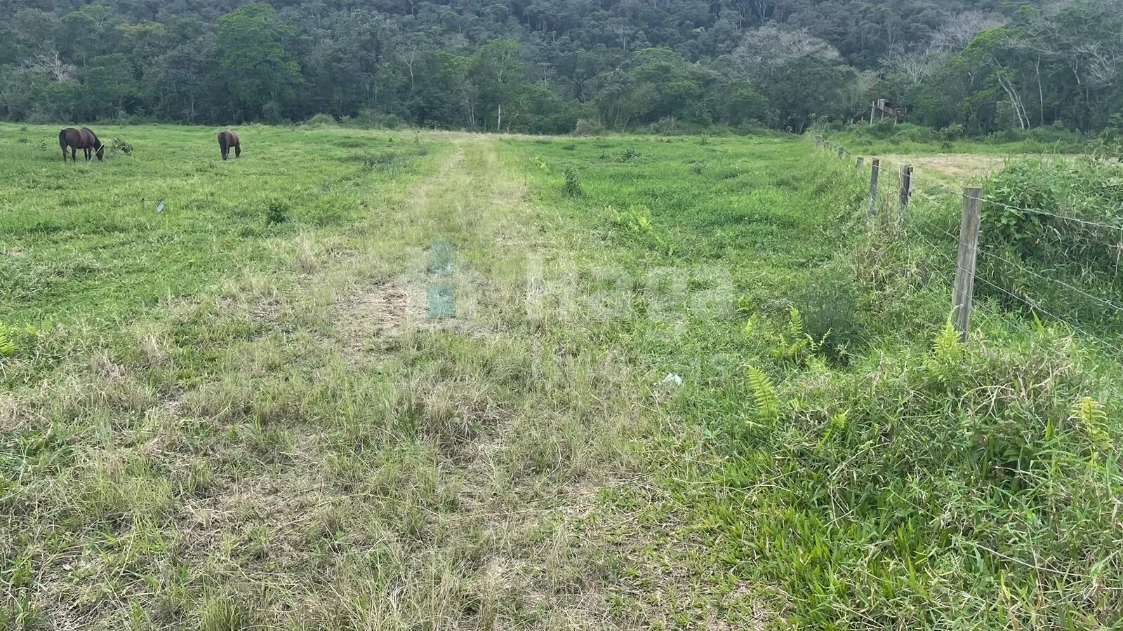 Terreno à venda de 2.200 m² em Canelinha, SC, Brasil