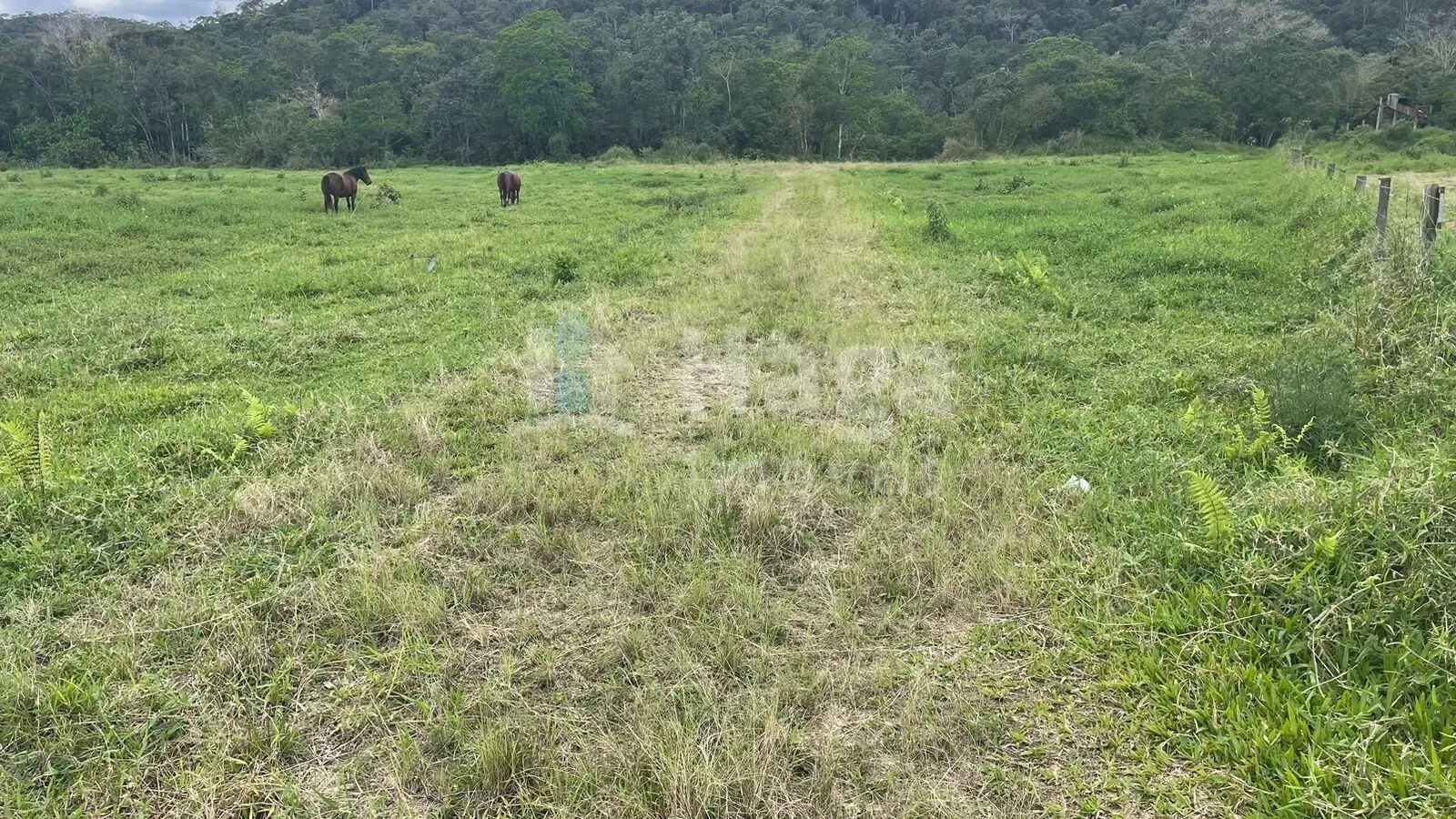 Terreno à venda de 2.200 m² em Canelinha, SC, Brasil