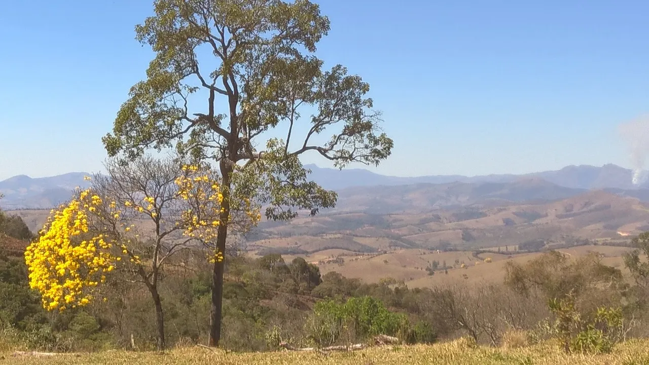 Sítio à venda de 3 ha em São Lourenço, MG, Brasil