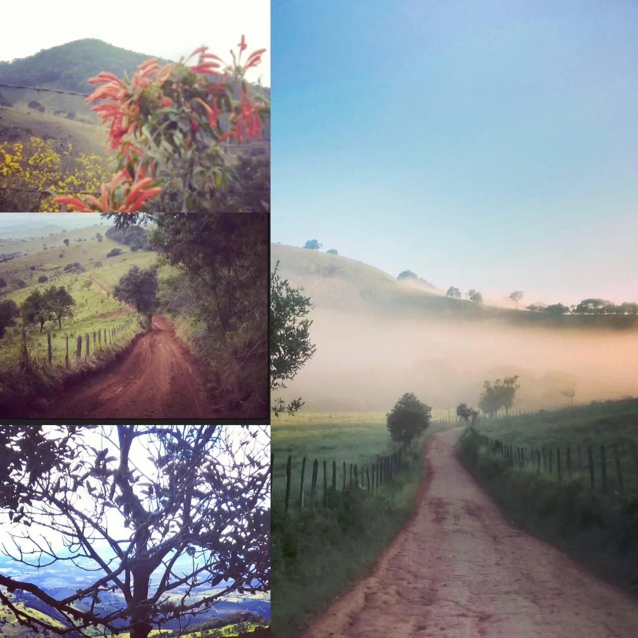 Sítio à venda de 3 ha em São Lourenço, MG, Brasil