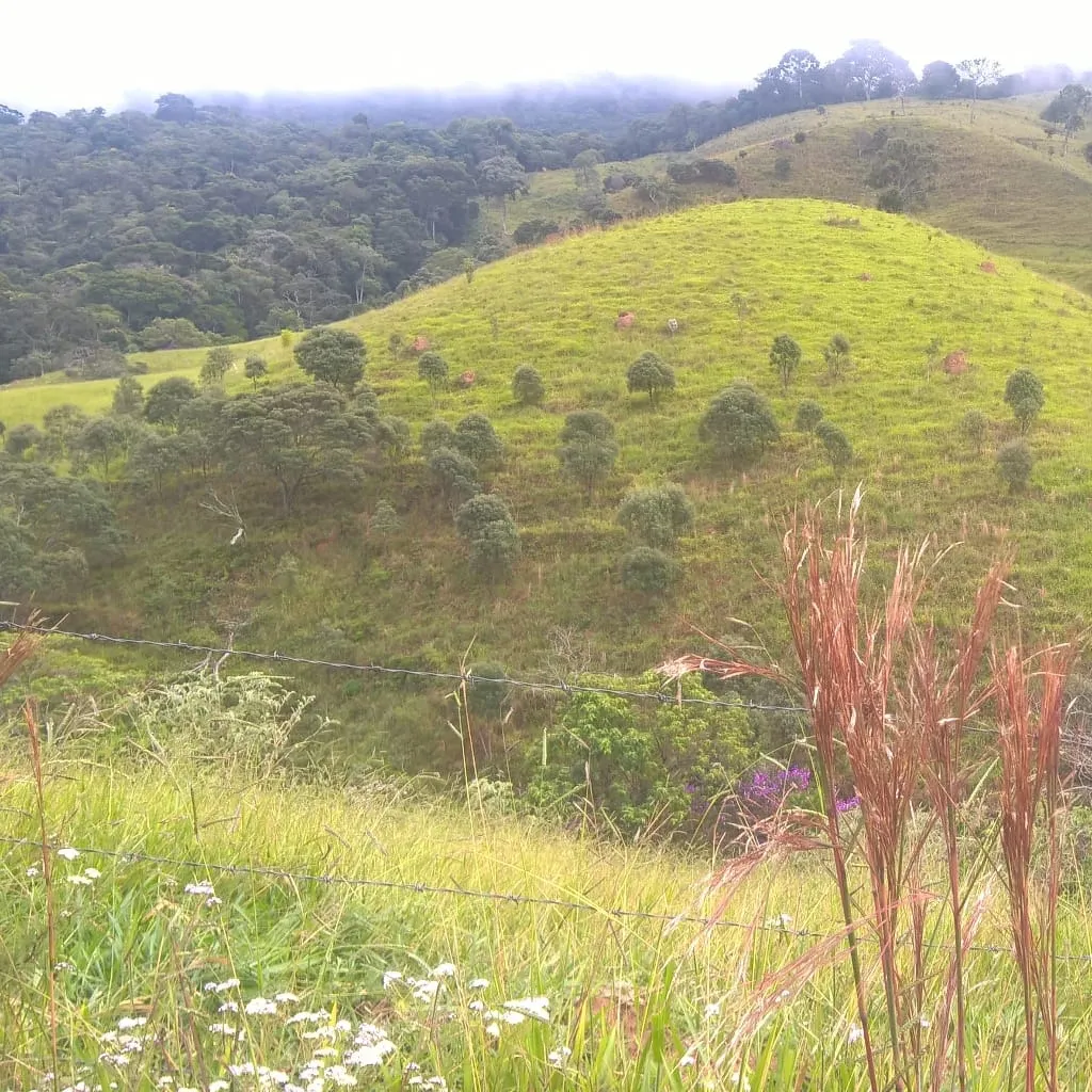 Sítio à venda de 3 ha em São Lourenço, MG, Brasil