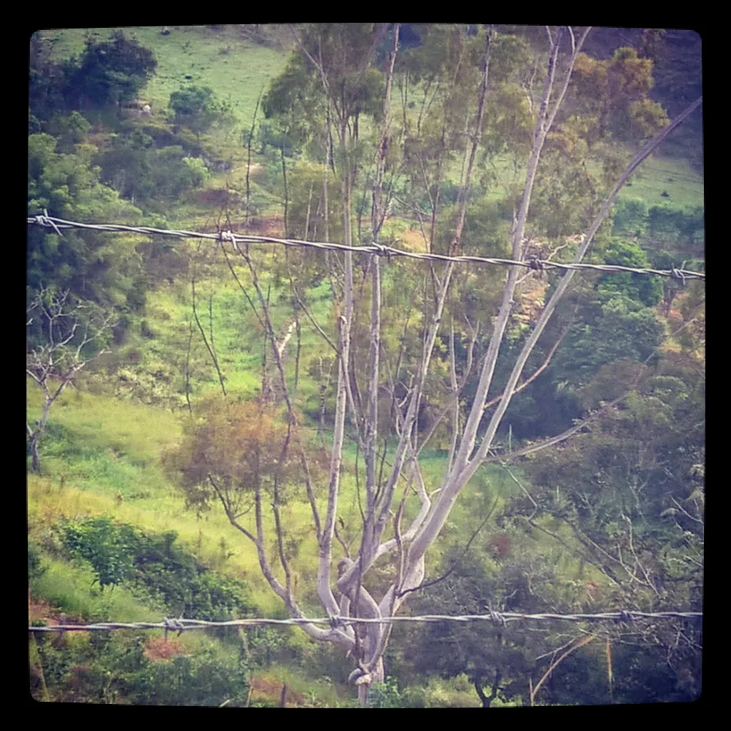 Sítio à venda de 3 ha em São Lourenço, MG, Brasil