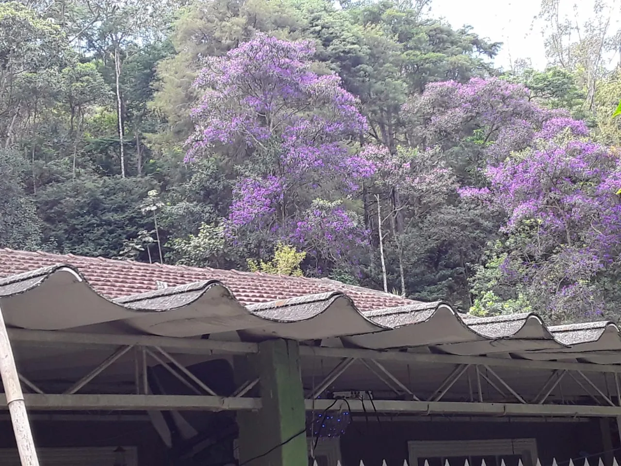 Country home for sale of 2 acres in São José dos Campos, SP, Brazil