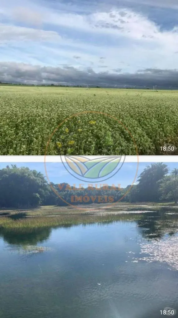Fazenda à venda de 636 ha em Ribeirão Preto, SP, Brasil