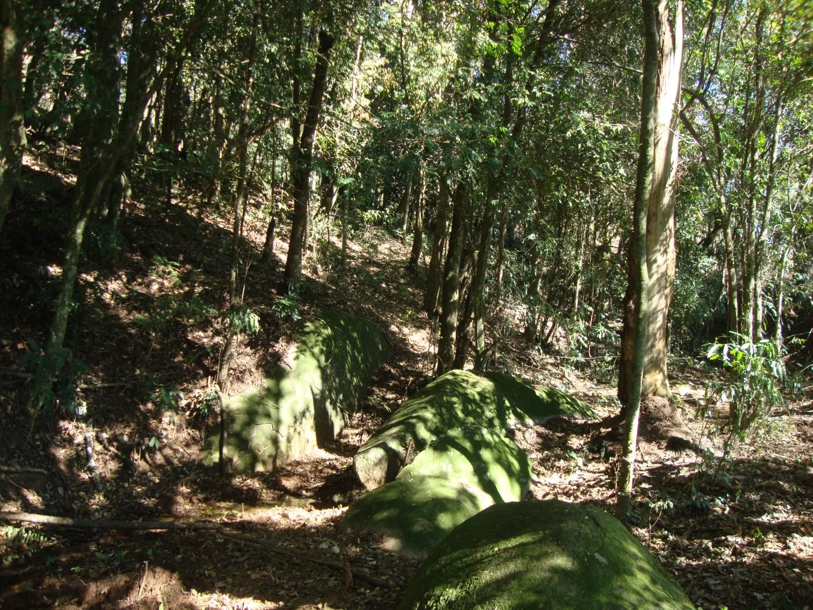 Sítio à venda de 4 ha em Piracaia, SP, Brasil