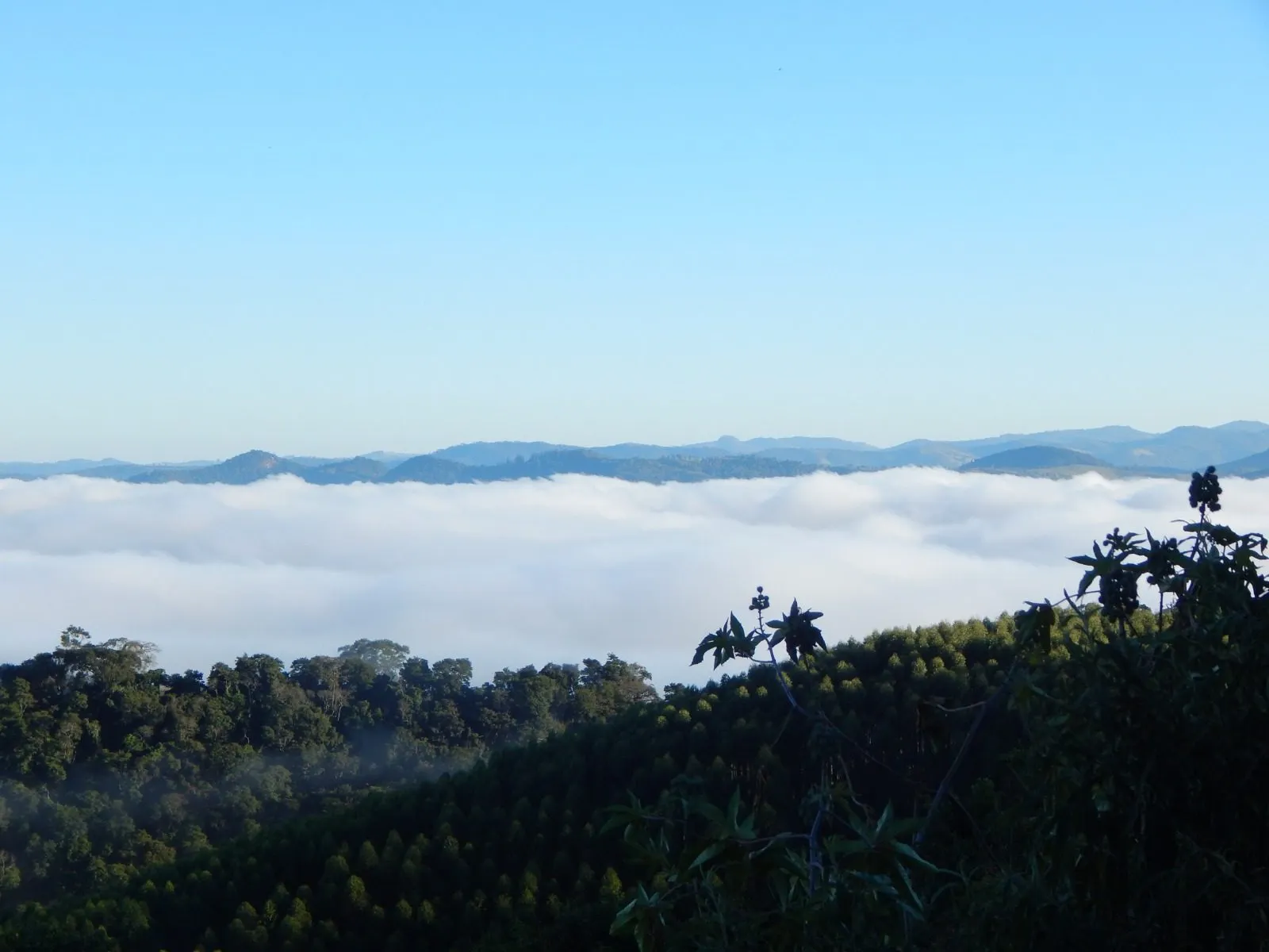 Sítio à venda de 4 ha em Piracaia, SP, Brasil