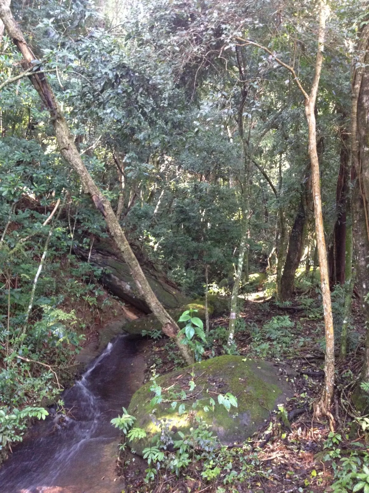 Sítio à venda de 4 ha em Piracaia, SP, Brasil