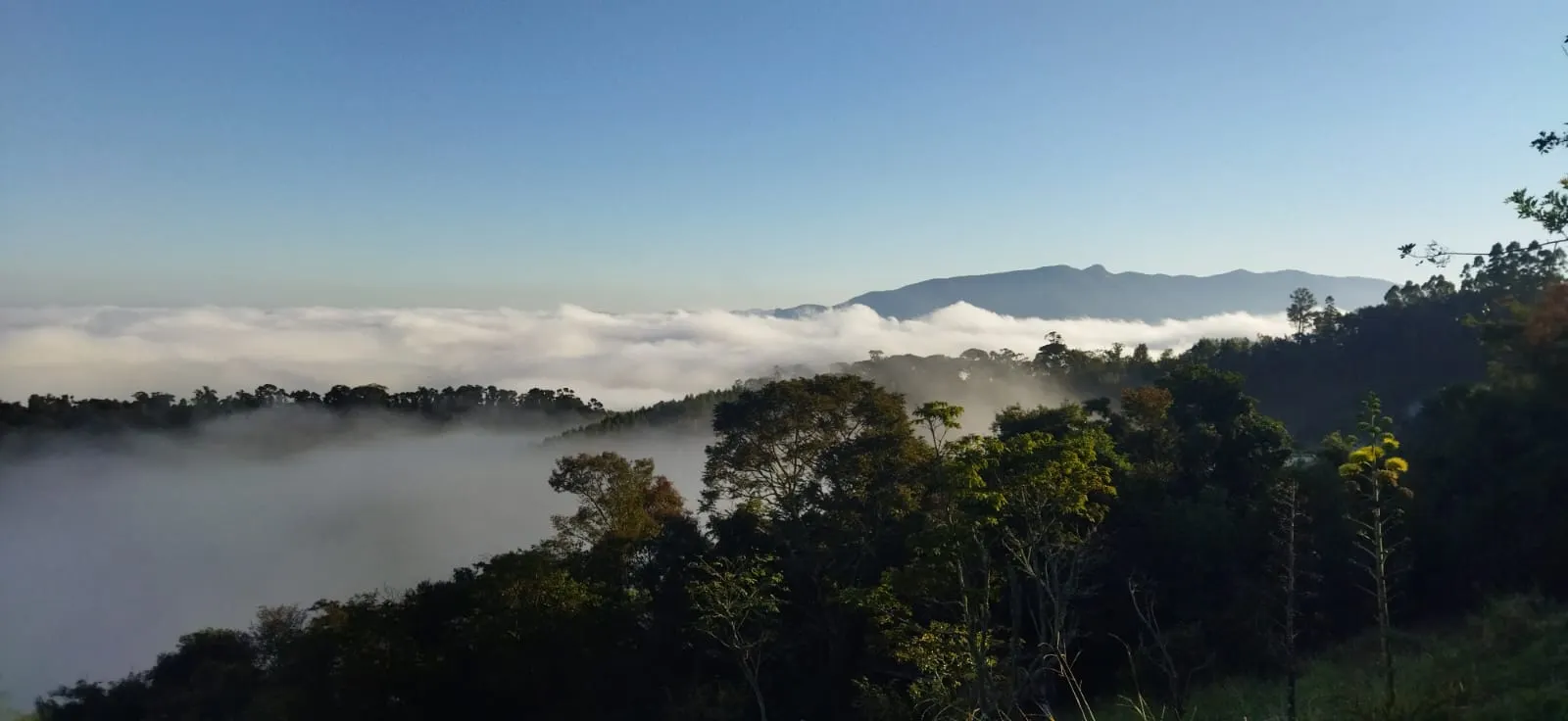 Sítio à venda de 4 ha em Piracaia, SP, Brasil