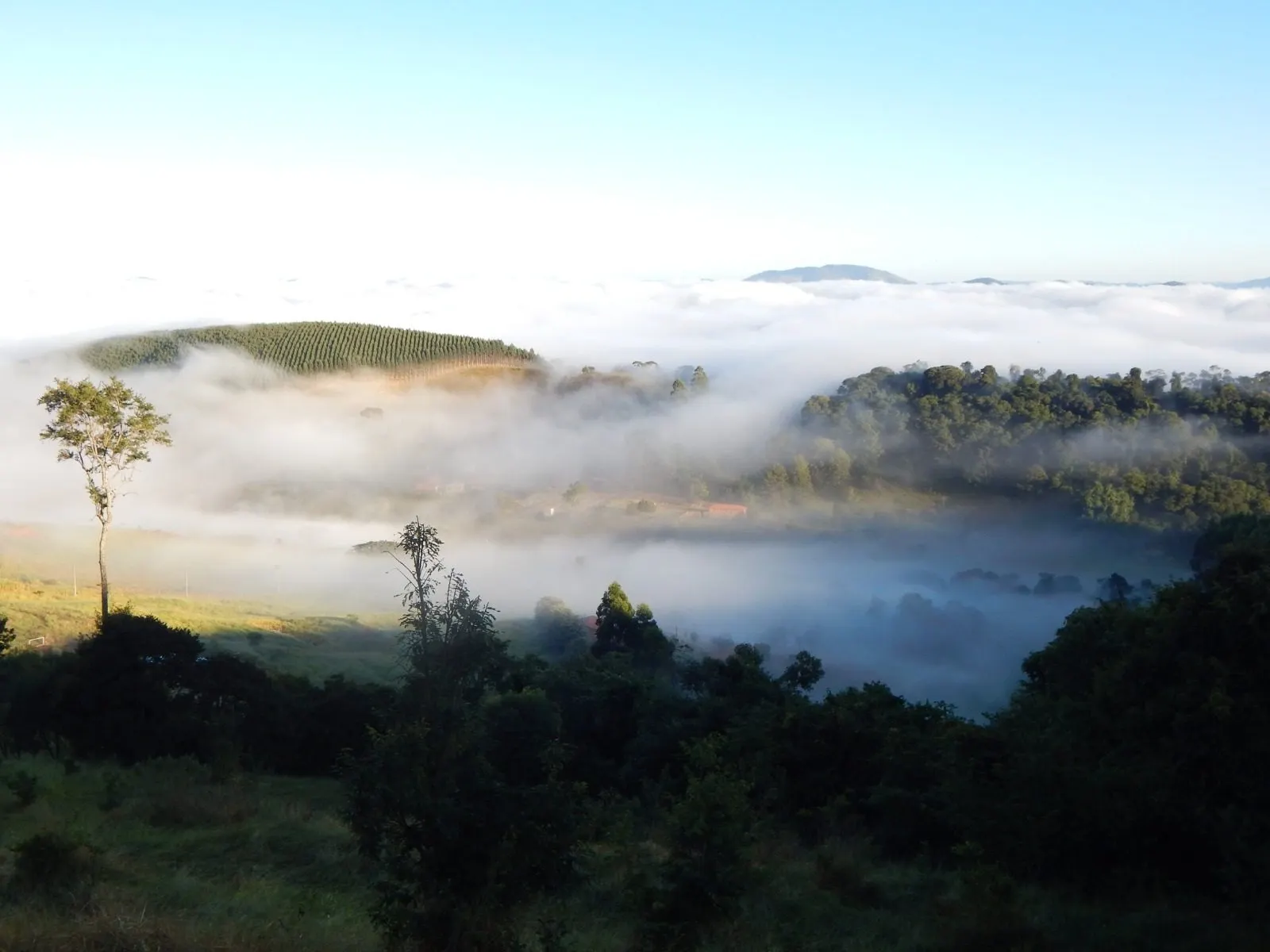 Sítio à venda de 4 ha em Piracaia, SP, Brasil