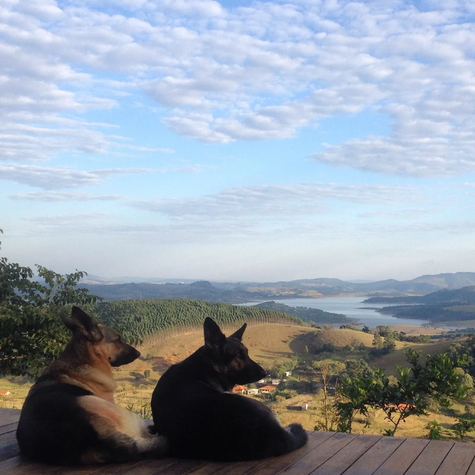 Sítio à venda de 4 ha em Piracaia, SP, Brasil