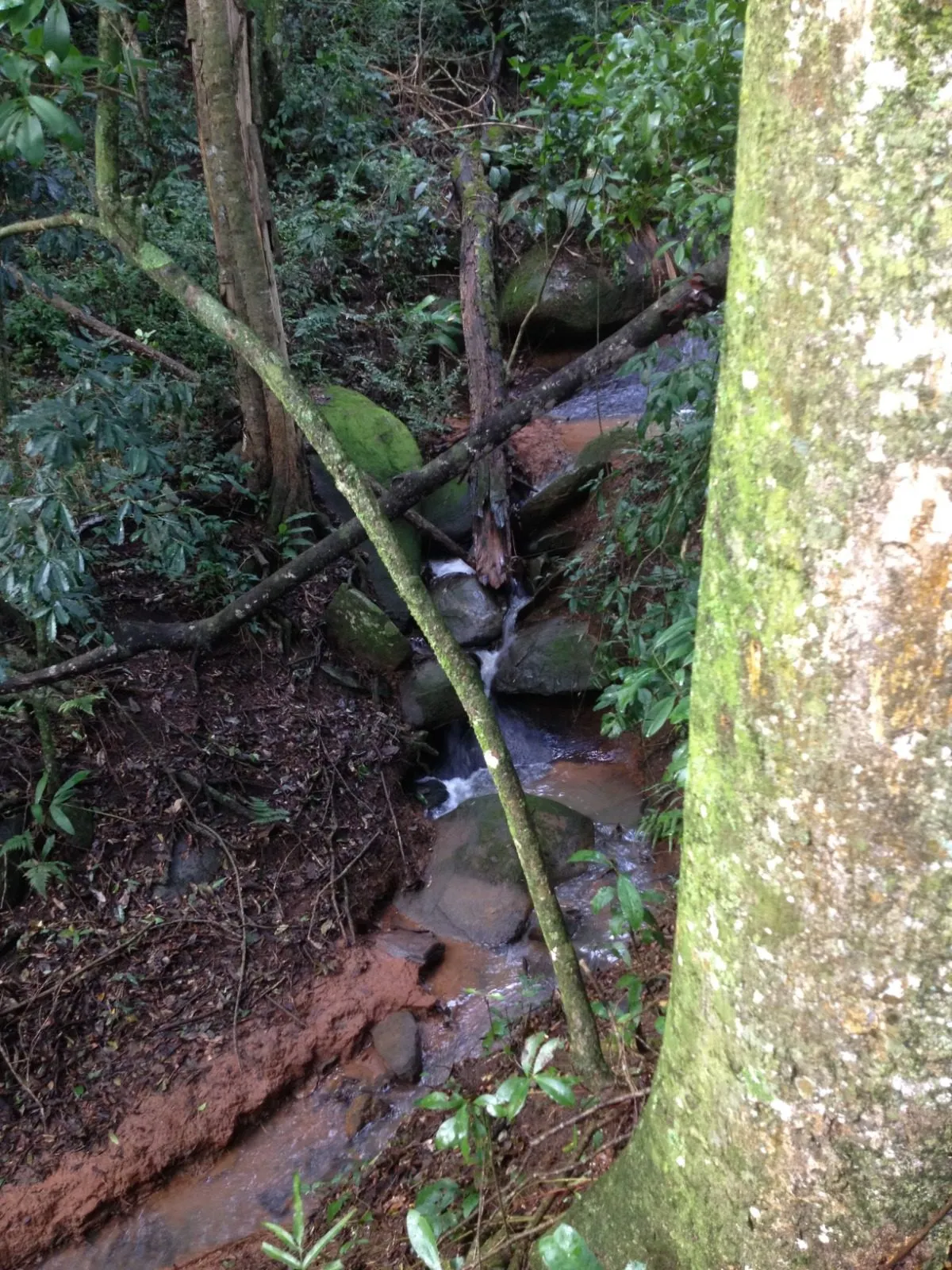 Sítio à venda de 4 ha em Piracaia, SP, Brasil