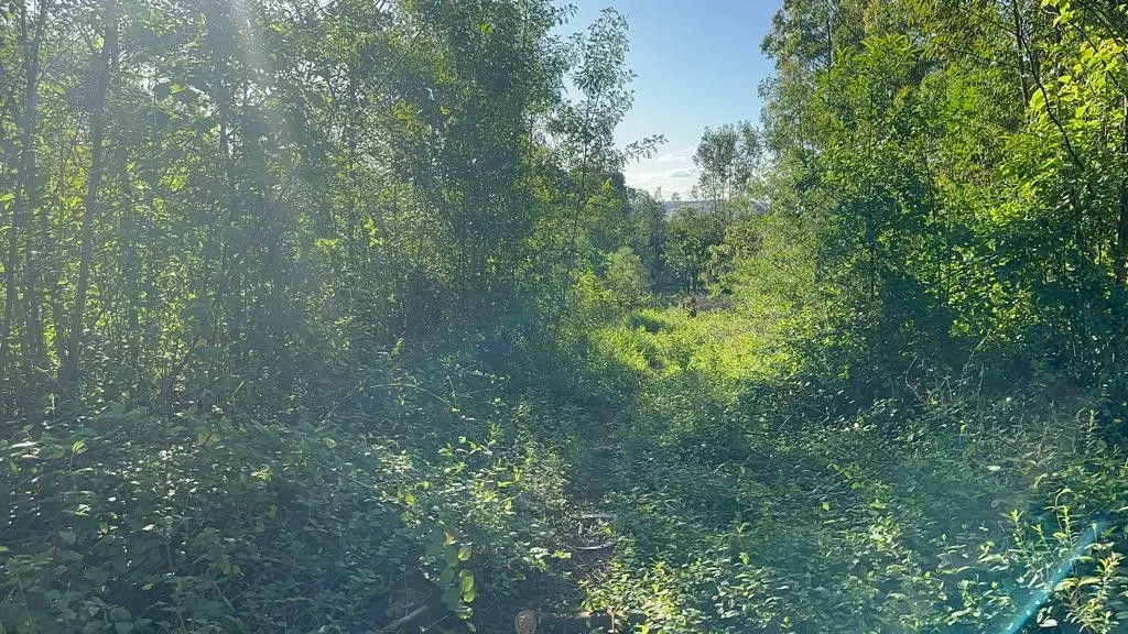 Chácara à venda de 3.400 m² em Eldorado do Sul, RS, Brasil