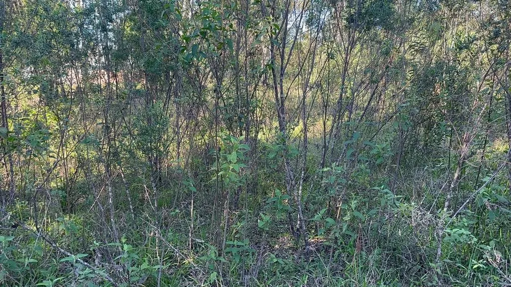 Chácara à venda de 3.400 m² em Eldorado do Sul, RS, Brasil