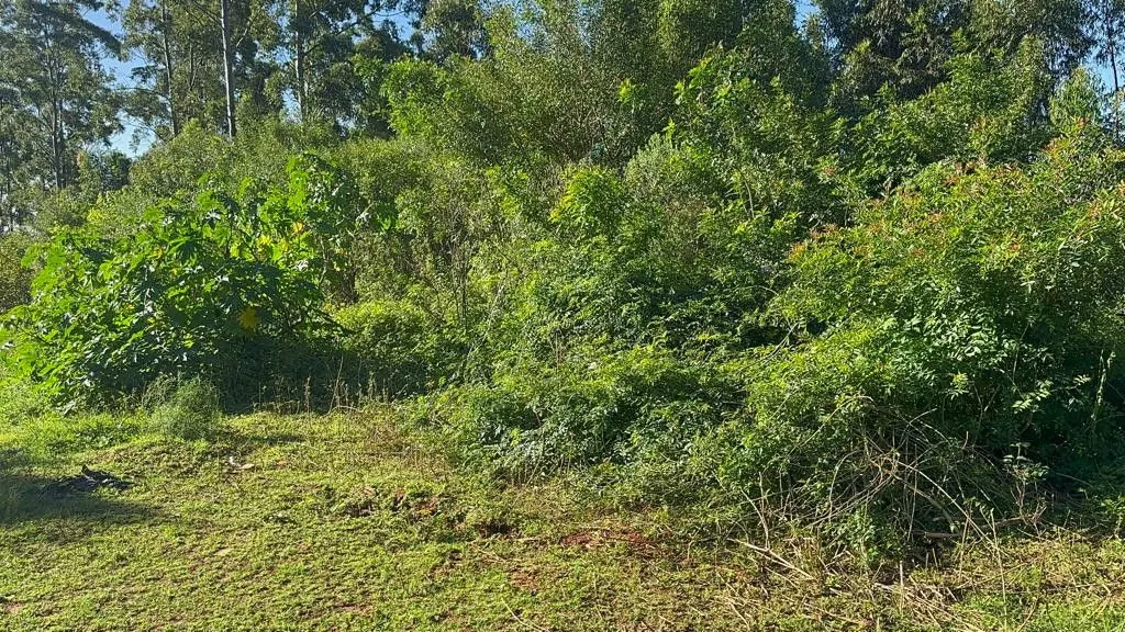 Chácara à venda de 3.400 m² em Eldorado do Sul, RS, Brasil