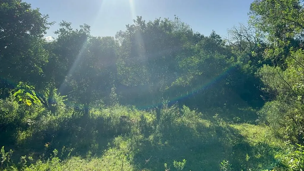 Chácara à venda de 3.400 m² em Eldorado do Sul, RS, Brasil