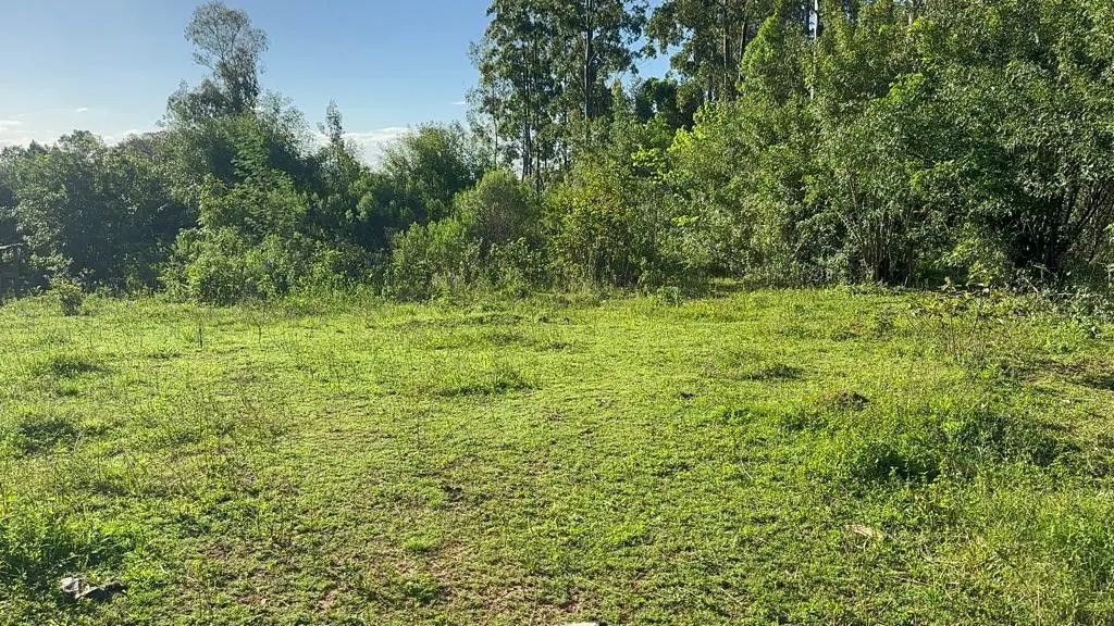 Chácara à venda de 3.400 m² em Eldorado do Sul, RS, Brasil