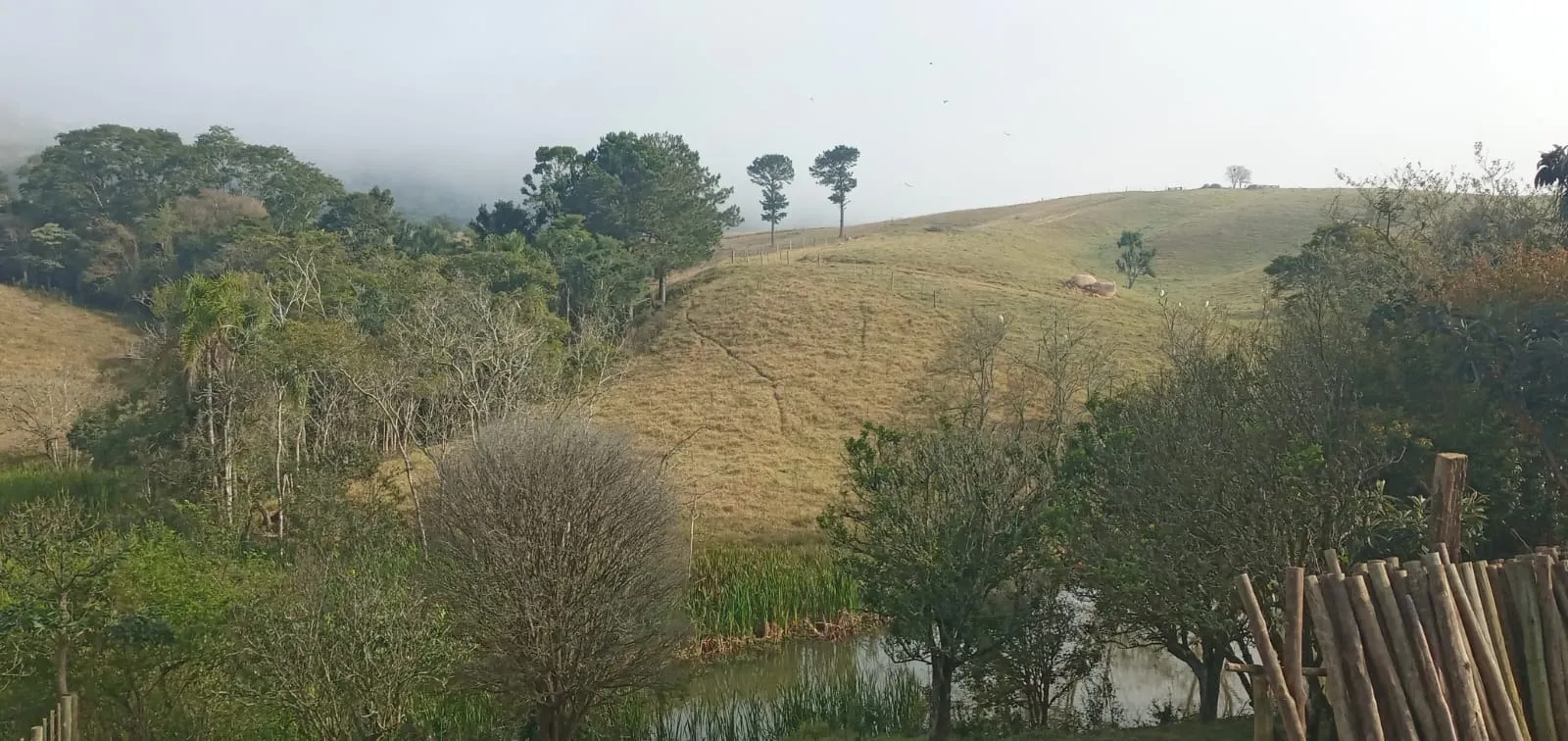 Fazenda à venda de 157 ha em Capão Bonito, SP, Brasil