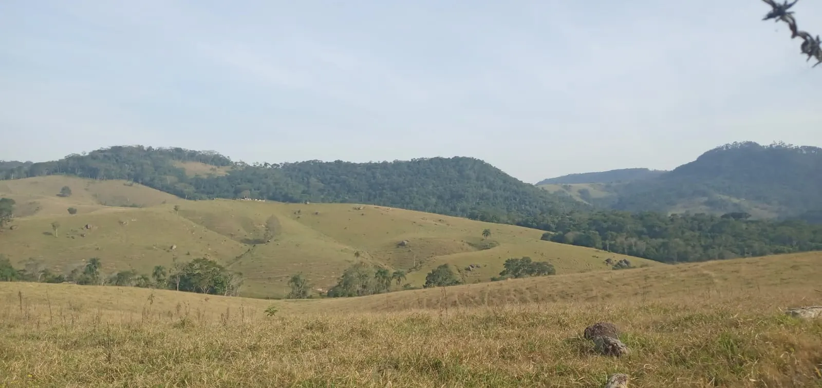 Fazenda à venda de 157 ha em Capão Bonito, SP, Brasil