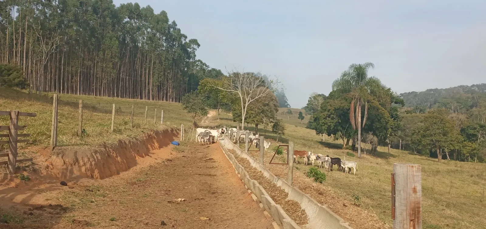 Fazenda à venda de 157 ha em Capão Bonito, SP, Brasil