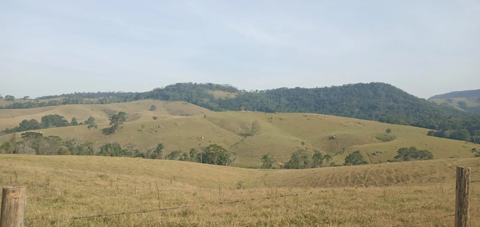 Fazenda à venda de 157 ha em Capão Bonito, SP, Brasil